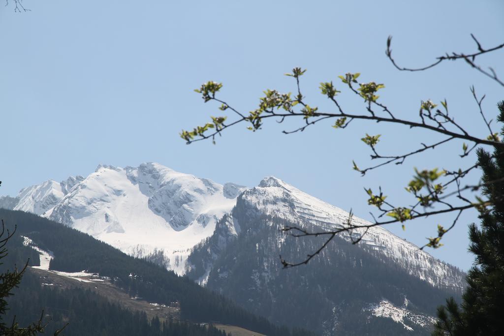 Villa Schnuck - Das Rote Ferienhaus Bad Gastein Bagian luar foto
